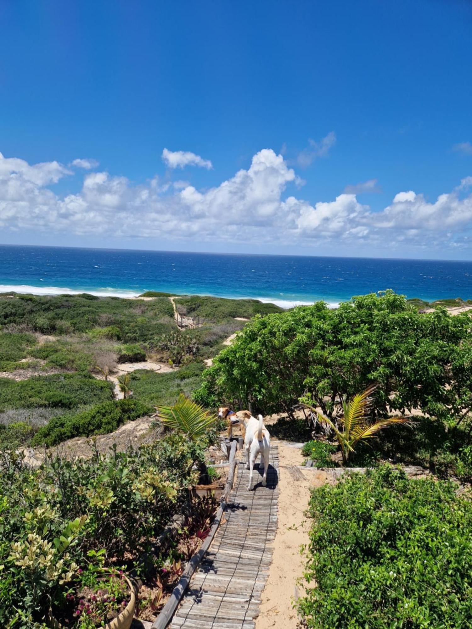 Mar-Me-Quer, Eco Beach Retreat Inhambane Esterno foto