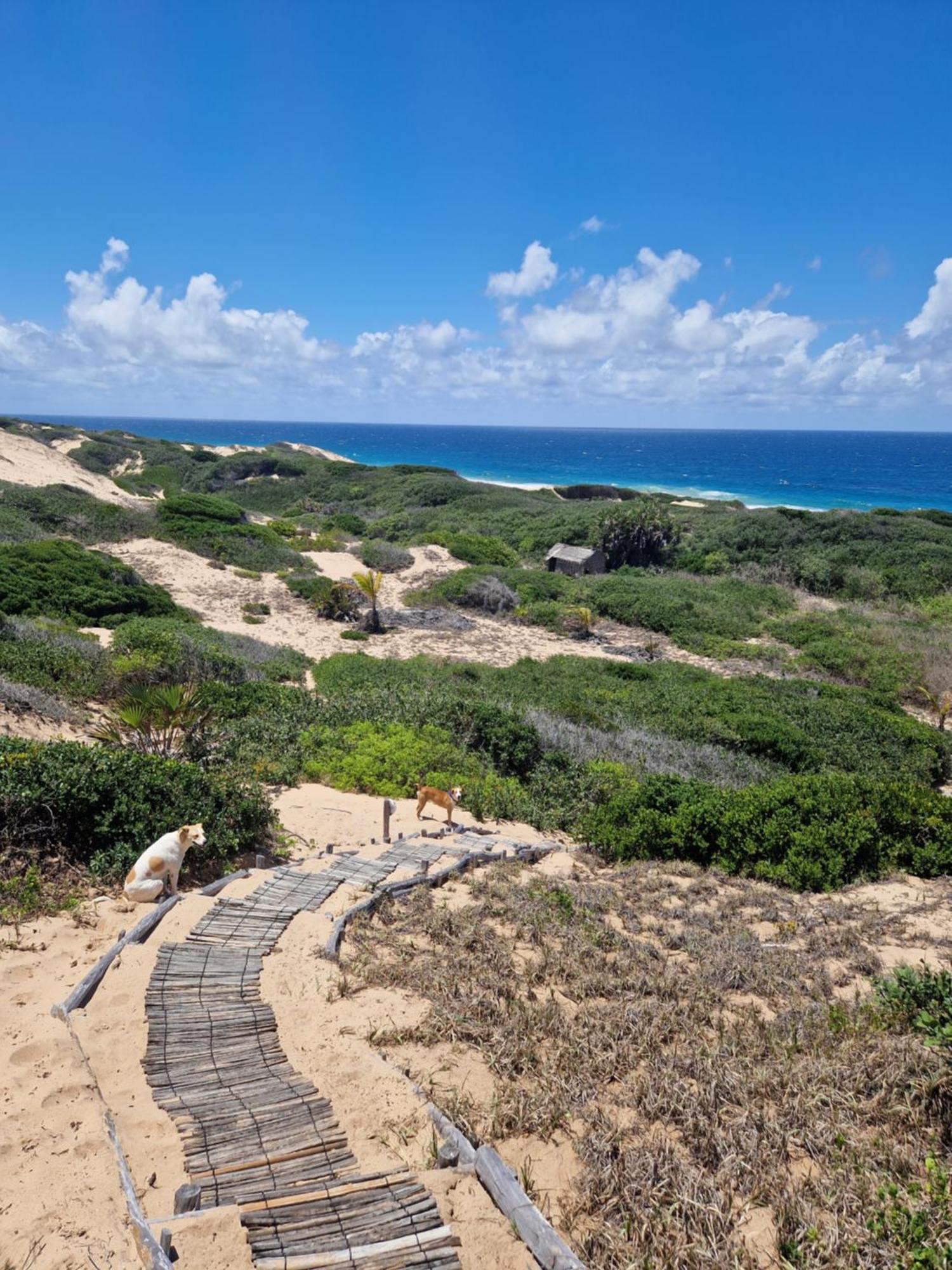 Mar-Me-Quer, Eco Beach Retreat Inhambane Esterno foto