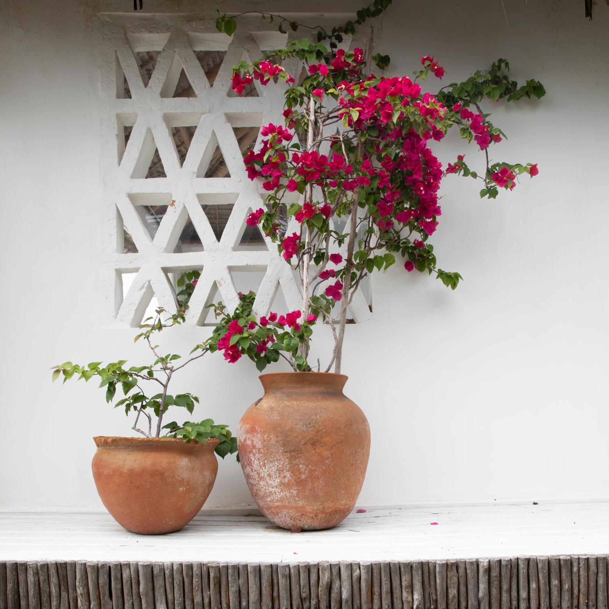 Mar-Me-Quer, Eco Beach Retreat Inhambane Esterno foto